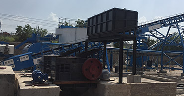 double roll crusher manufacturer in delhi