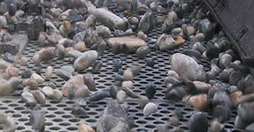 perforated sheet supplier in delhi